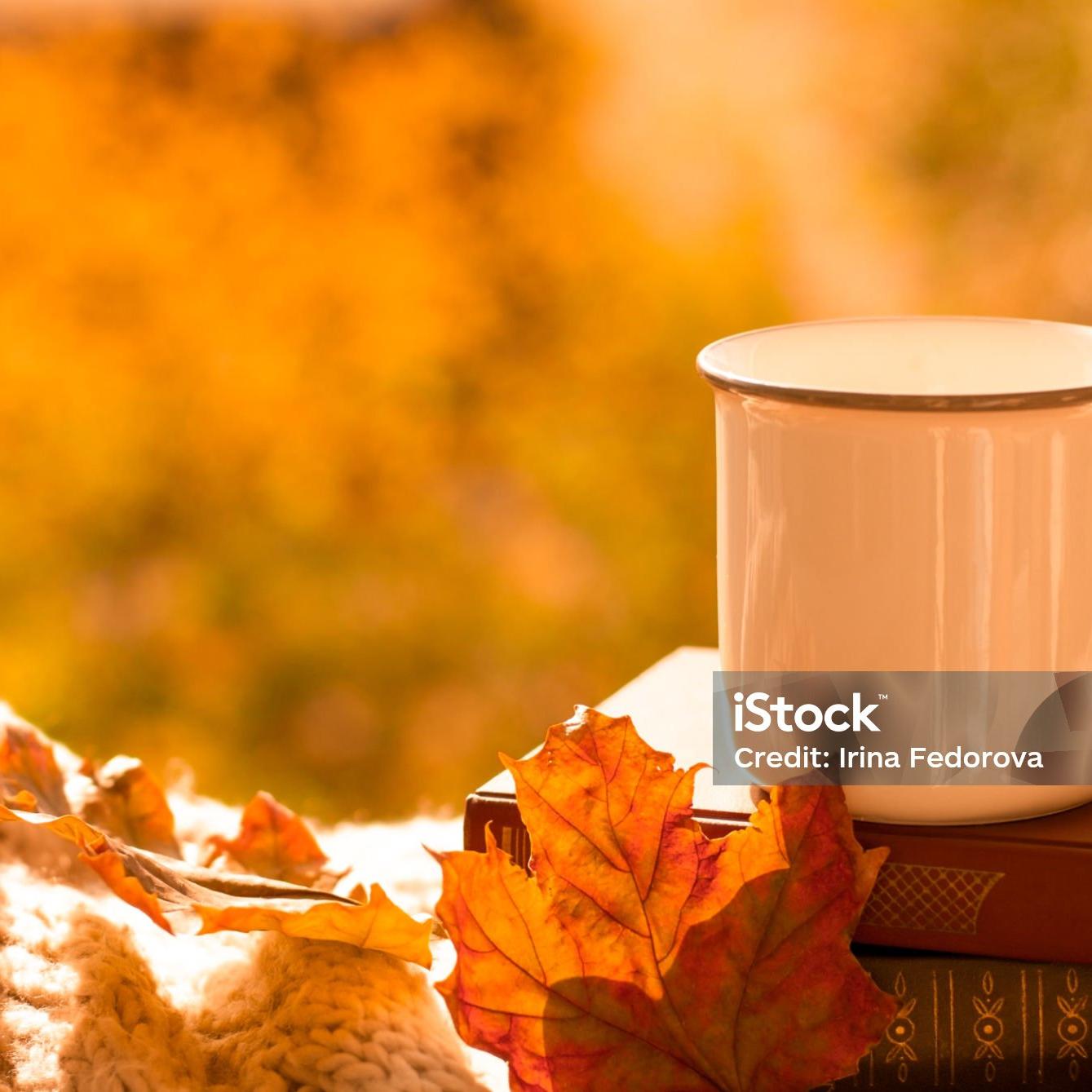 istockphoto-1279973742-2048x2048