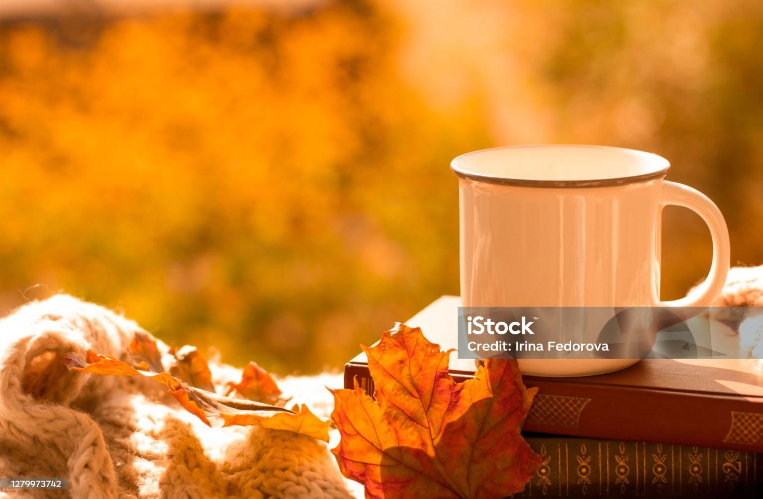 istockphoto-1279973742-2048x2048 (c) Pixaby