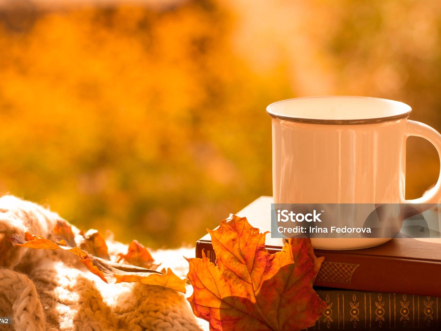 istockphoto-1279973742-2048x2048